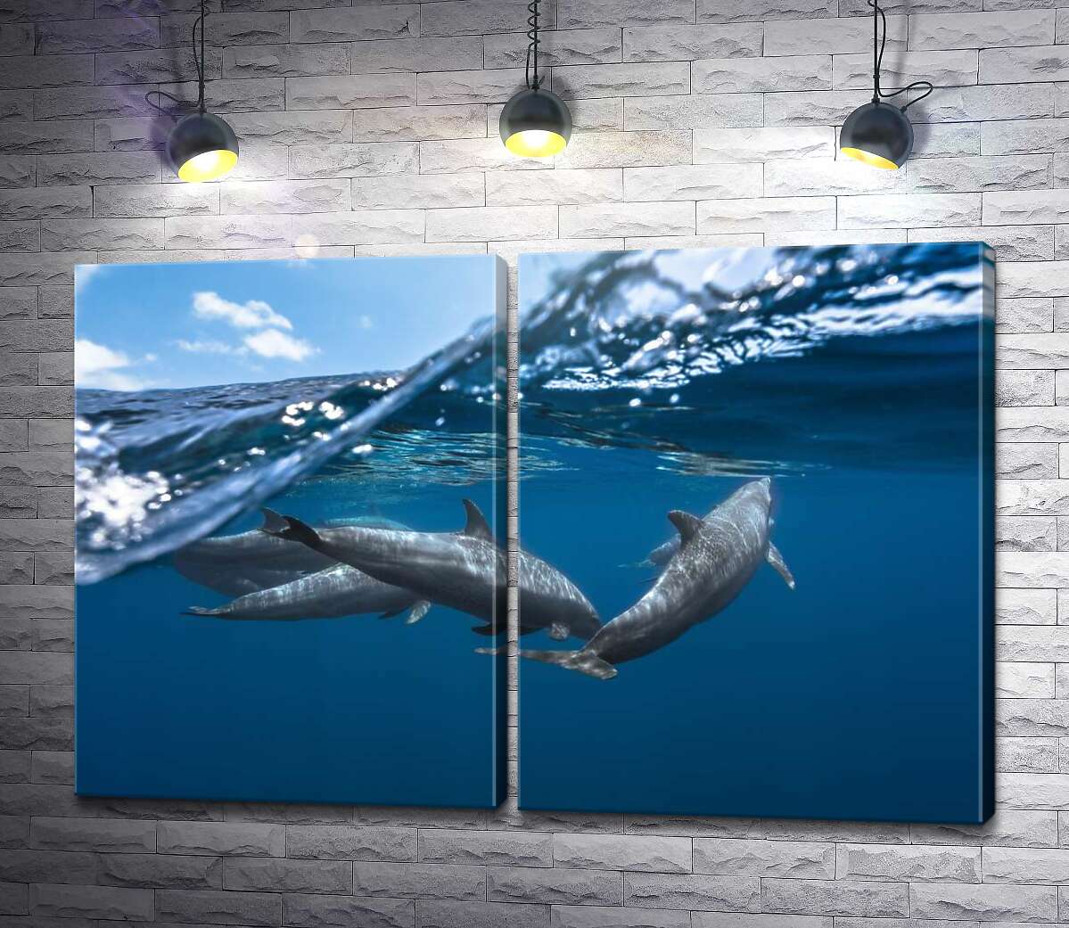 модульна картина Зграя дельфінів на кордоні води