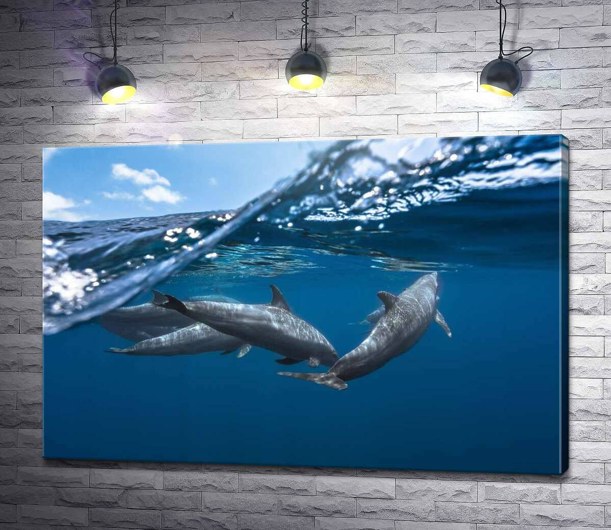 картина Зграя дельфінів на кордоні води