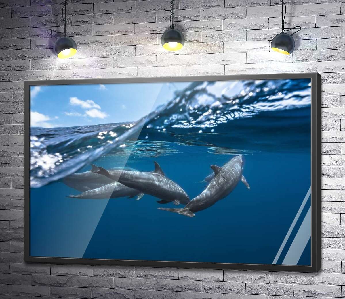постер Стая дельфинов на границе воды