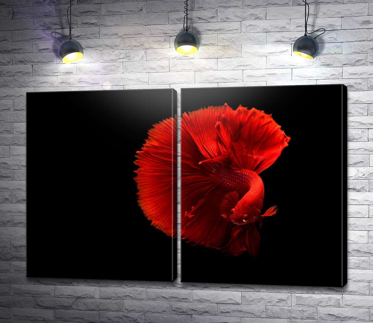 модульная картина Ярко-красная рыбка петушок