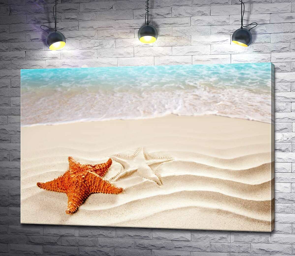 картина Морская звезда на берегу