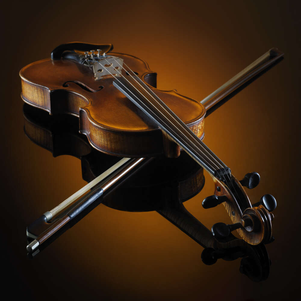 картина-постер Утонченная старинная скрипка и смычок