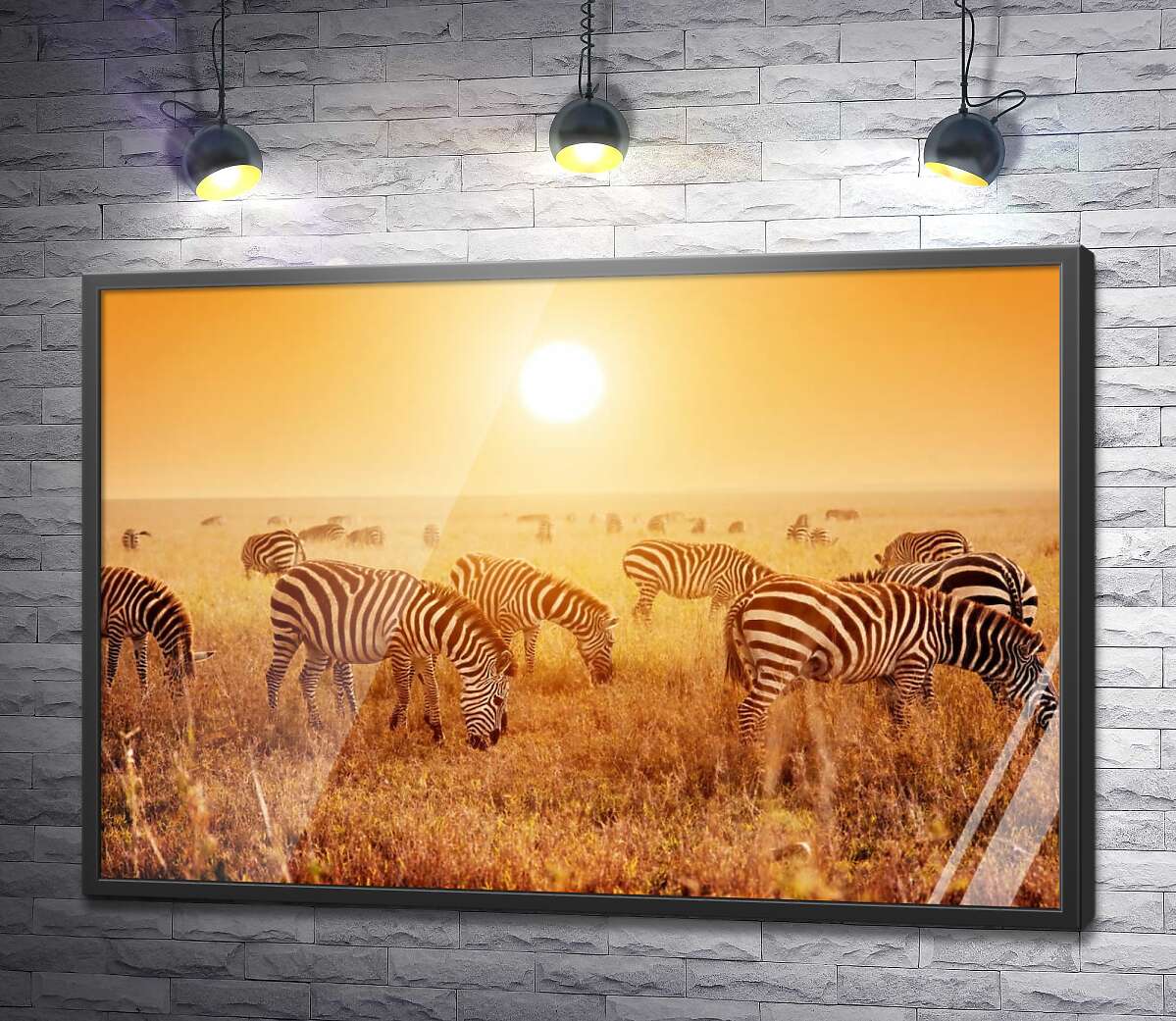 постер Полосатые зебры под жарким солнцем саванны