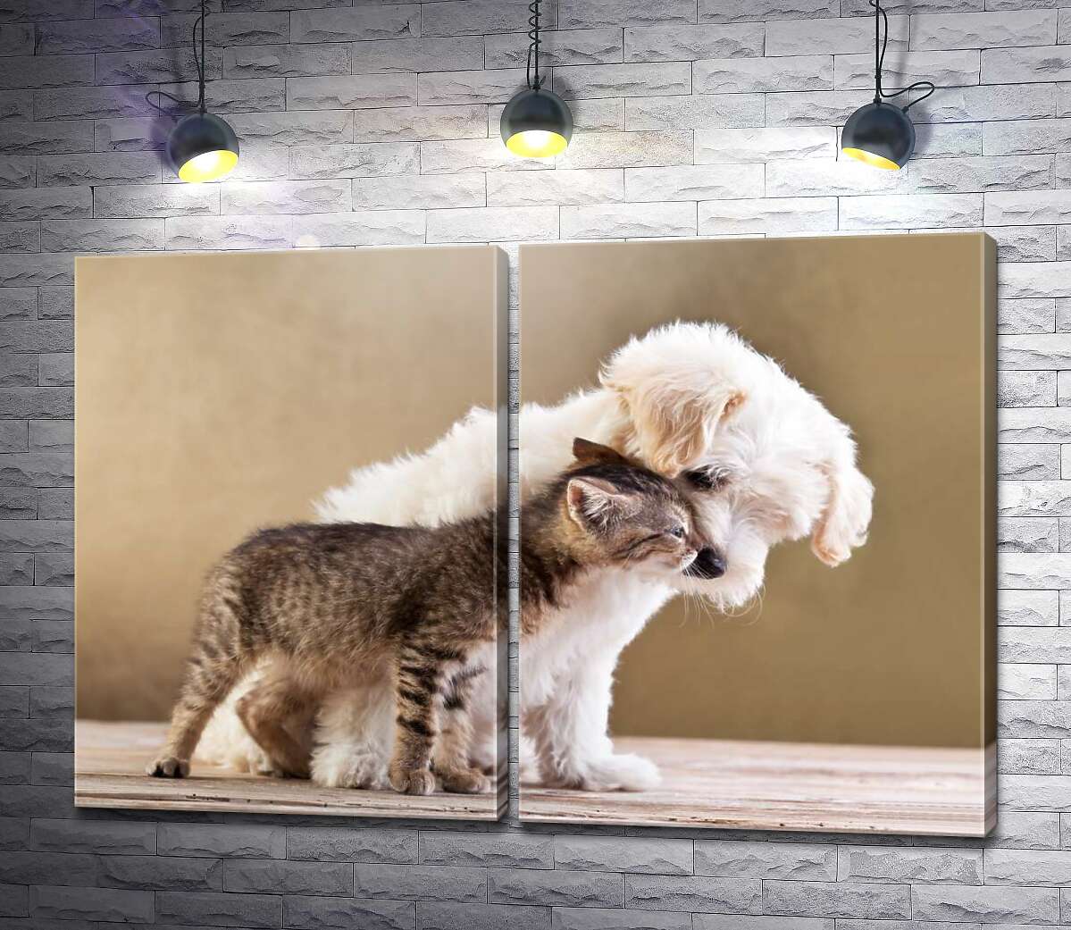модульна картина Зворушлива дружба цуценя і кошеня