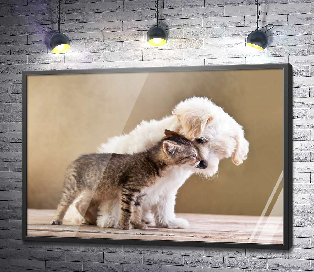 постер Трогательная дружба щенка и котенка