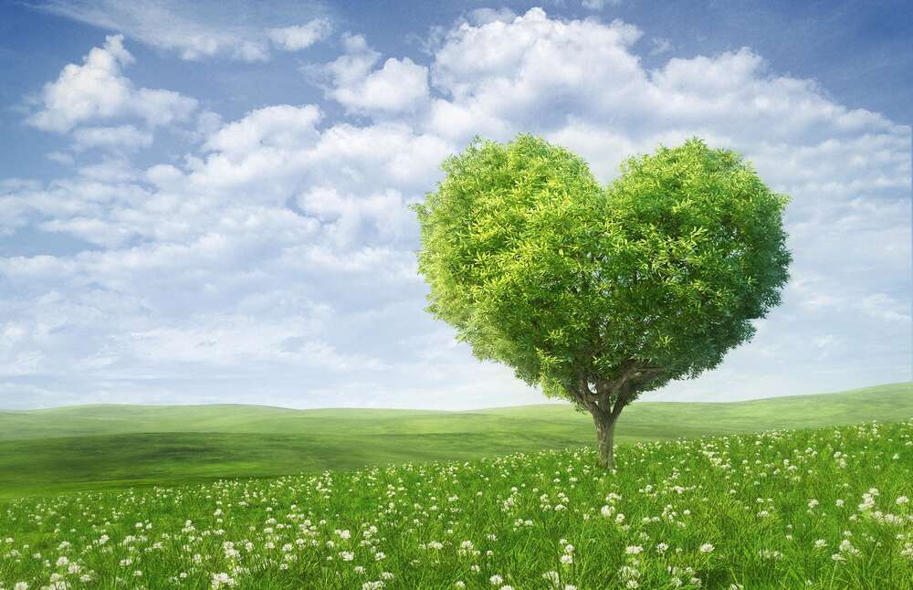 картина-постер Дерево у формі серця на весняному лузі