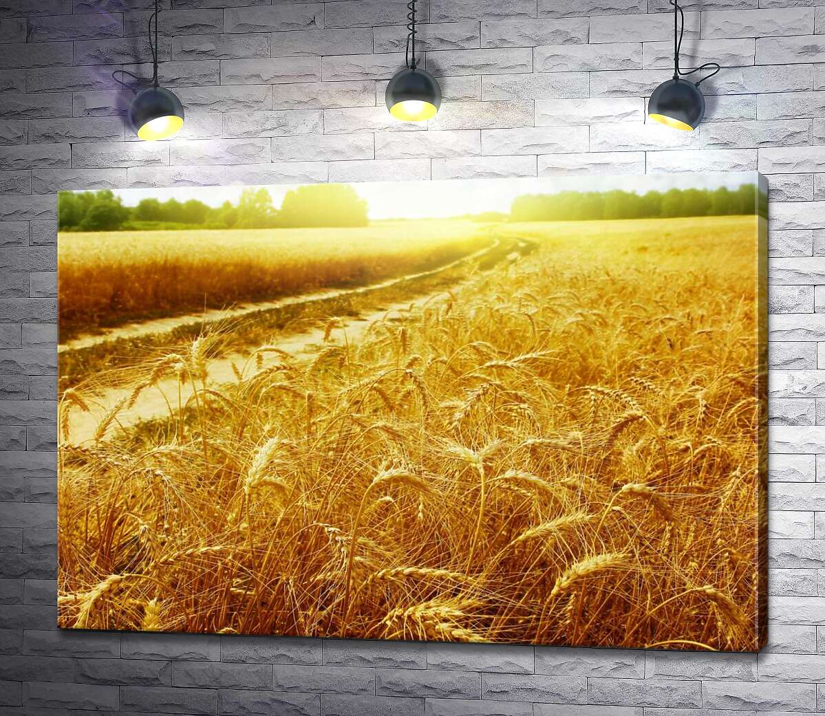 картина Золотые колосья пшеницы в поле