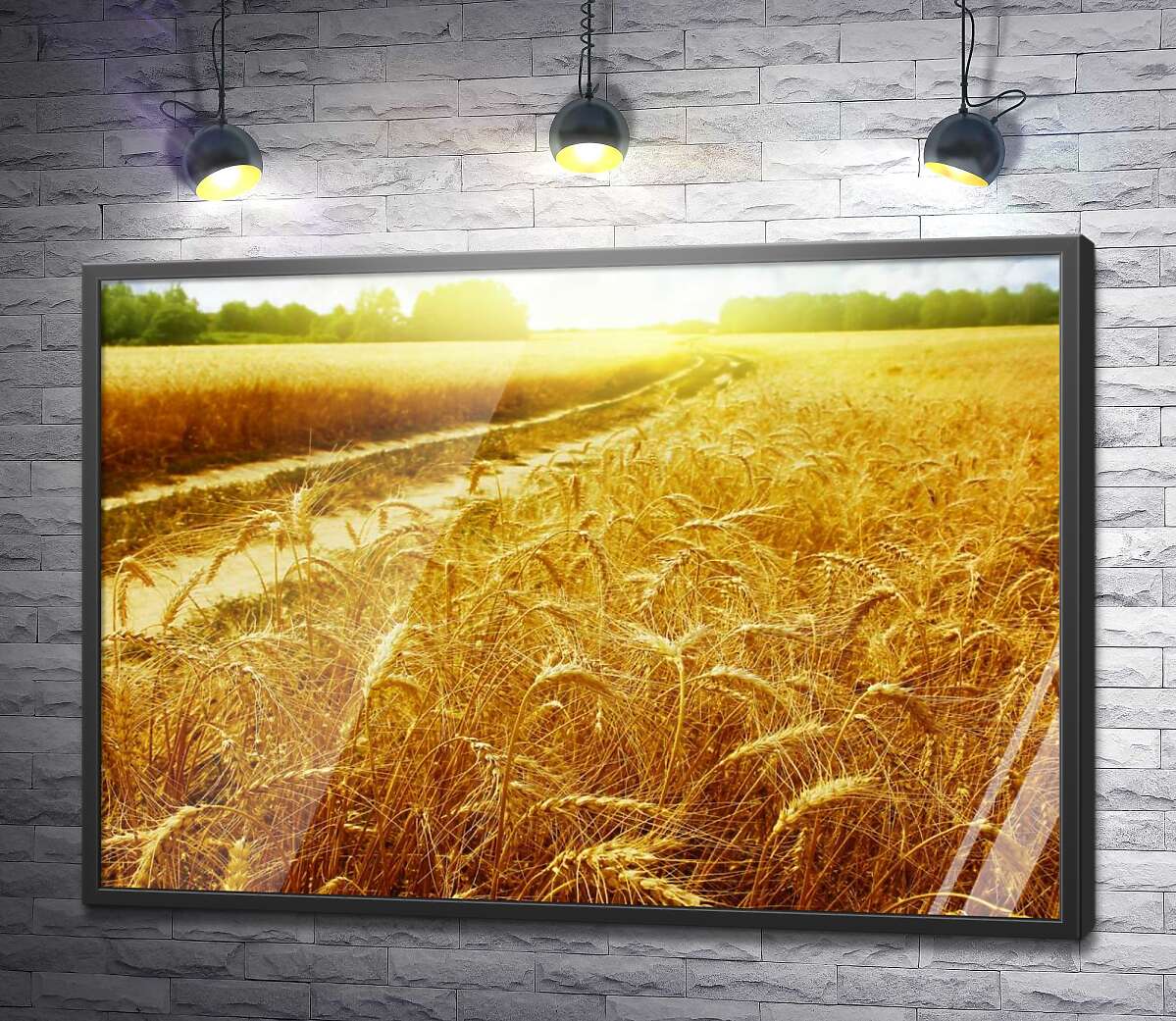 постер Золотые колосья пшеницы в поле