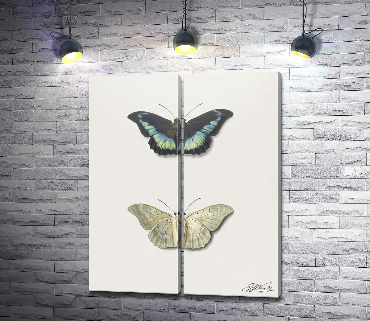 модульная картина Черная и белая коллекционные бабочки