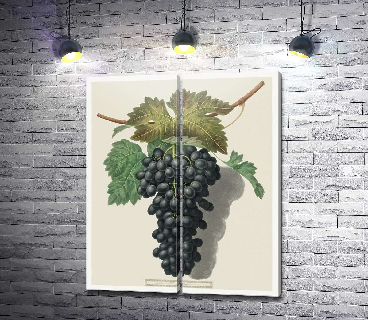модульна картина Темний виноград під листям