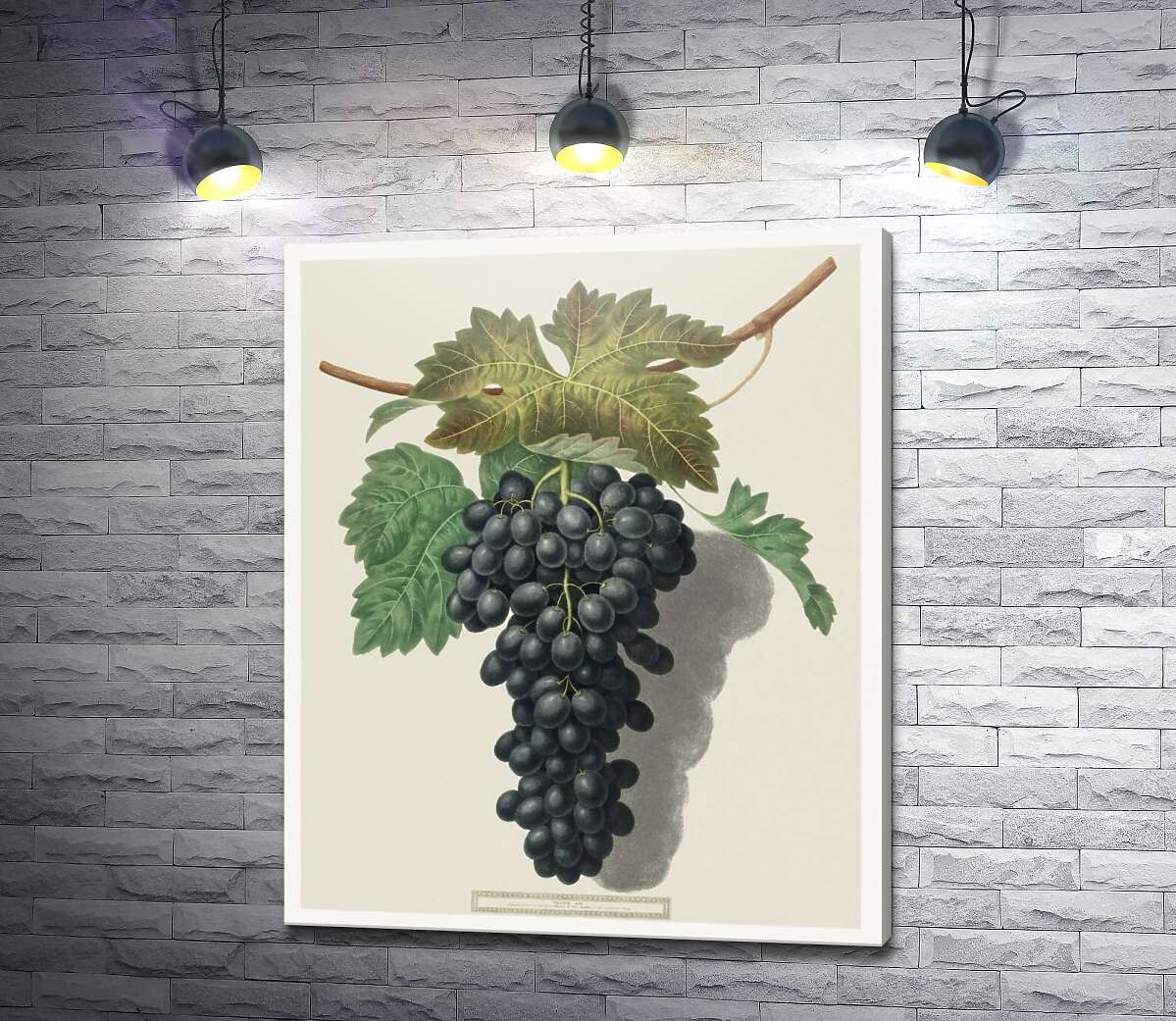 картина Темный виноград под листьями