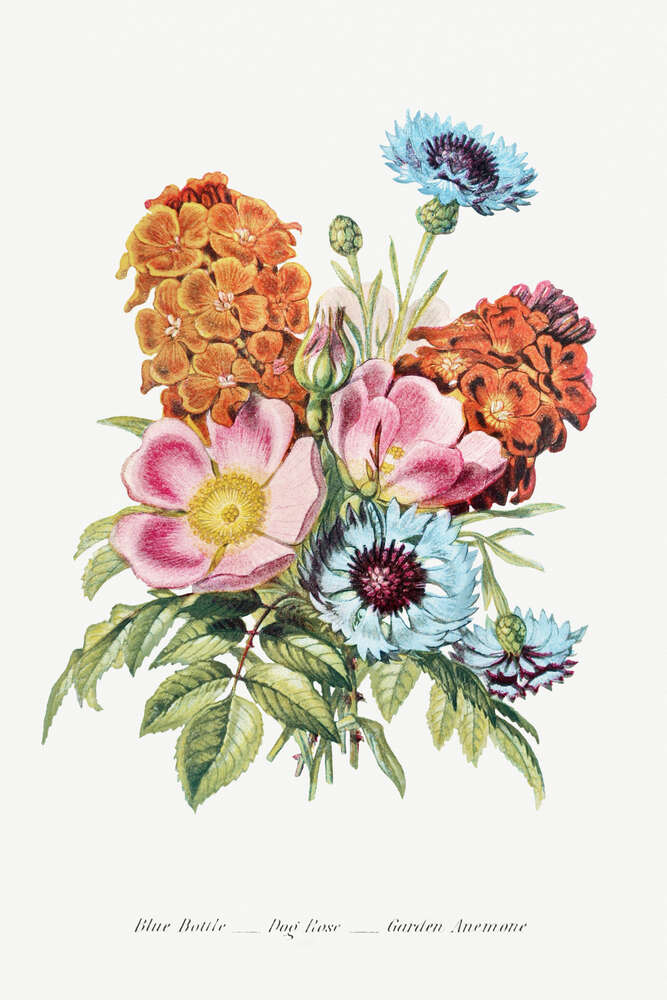 картина-постер Маленький букет из полевых цветов
