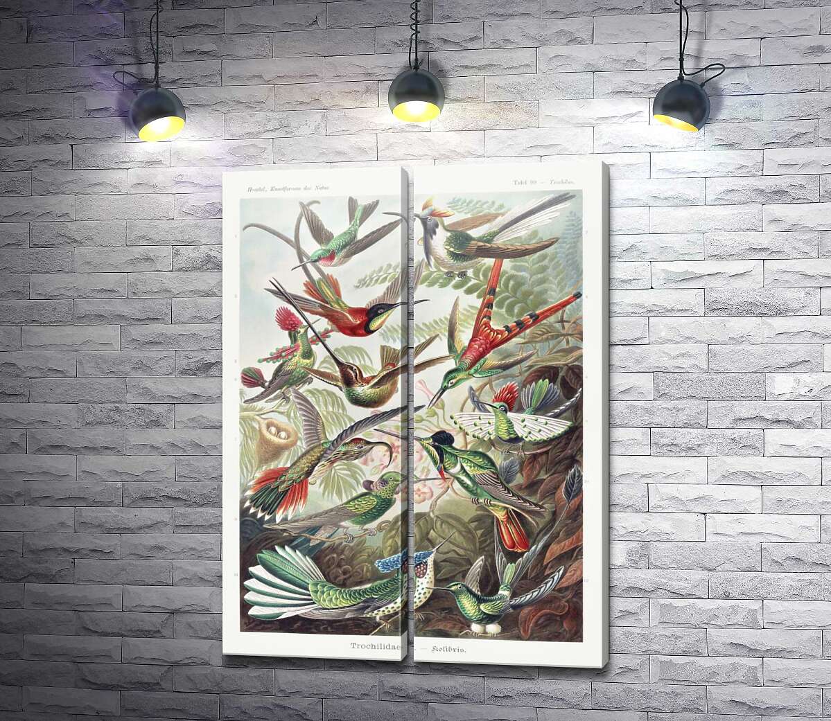 модульная картина Пестрое разнообразие крохотных колибри