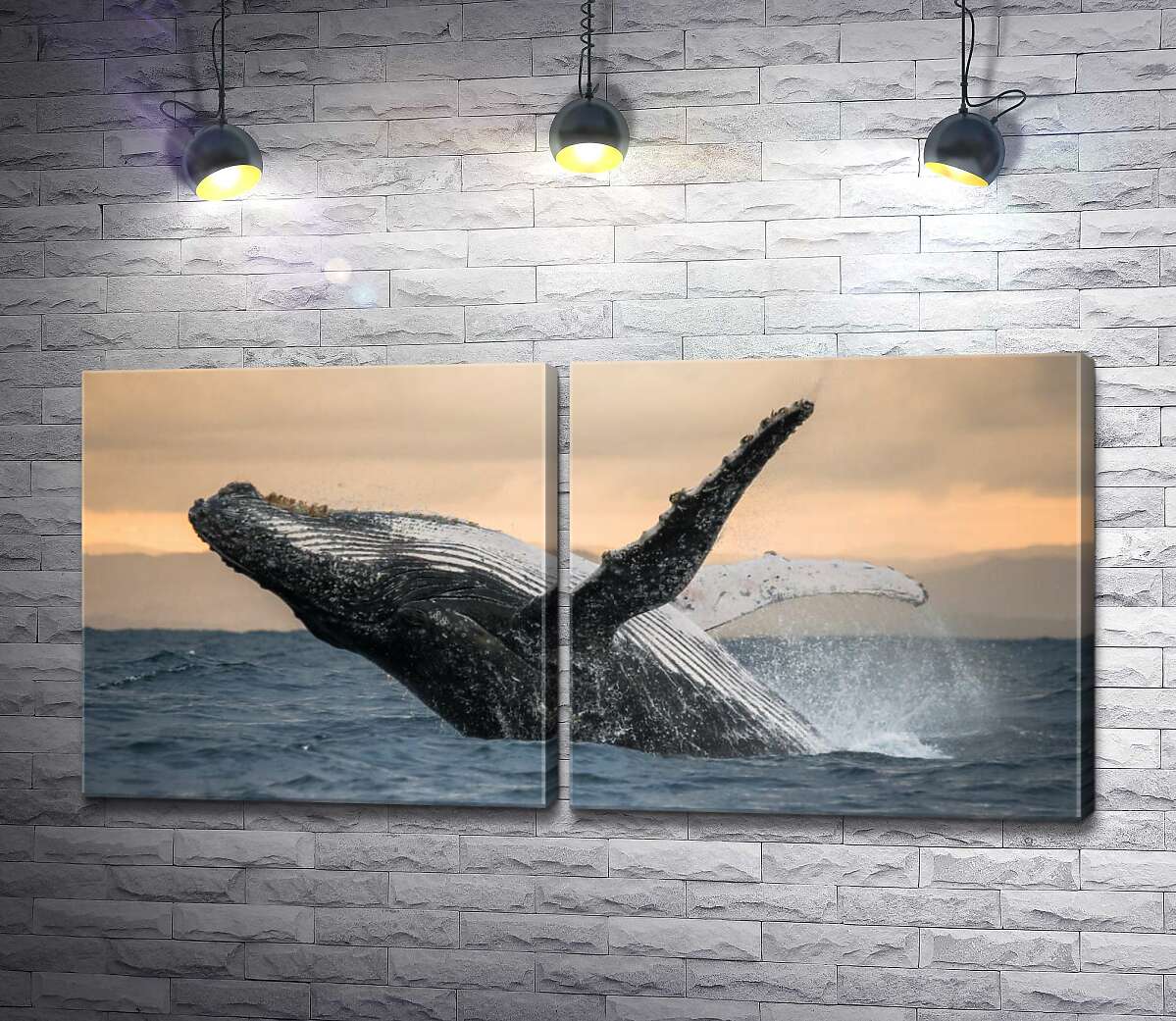 модульна картина Дивовижний горбатий кит