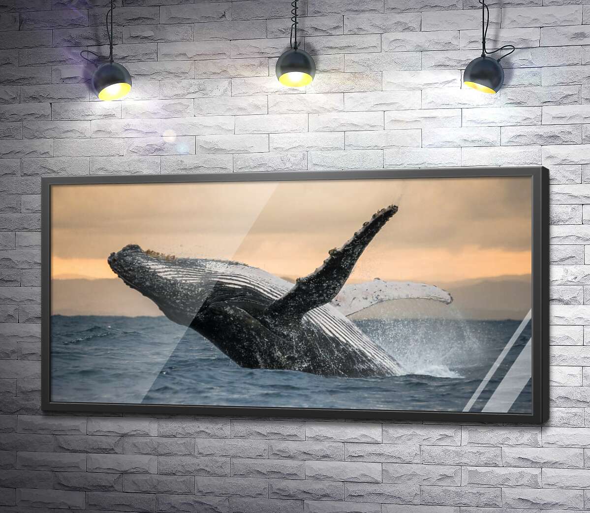 постер Дивовижний горбатий кит