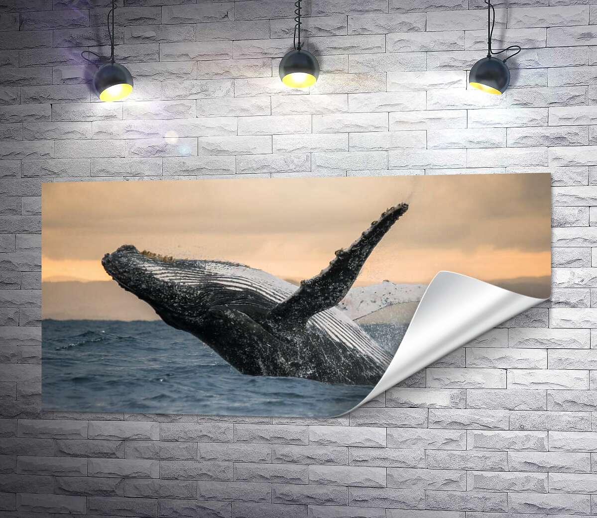 друк Дивовижний горбатий кит