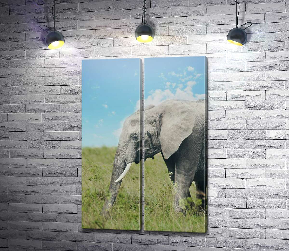 модульная картина Слон на прогулке в зеленом поле
