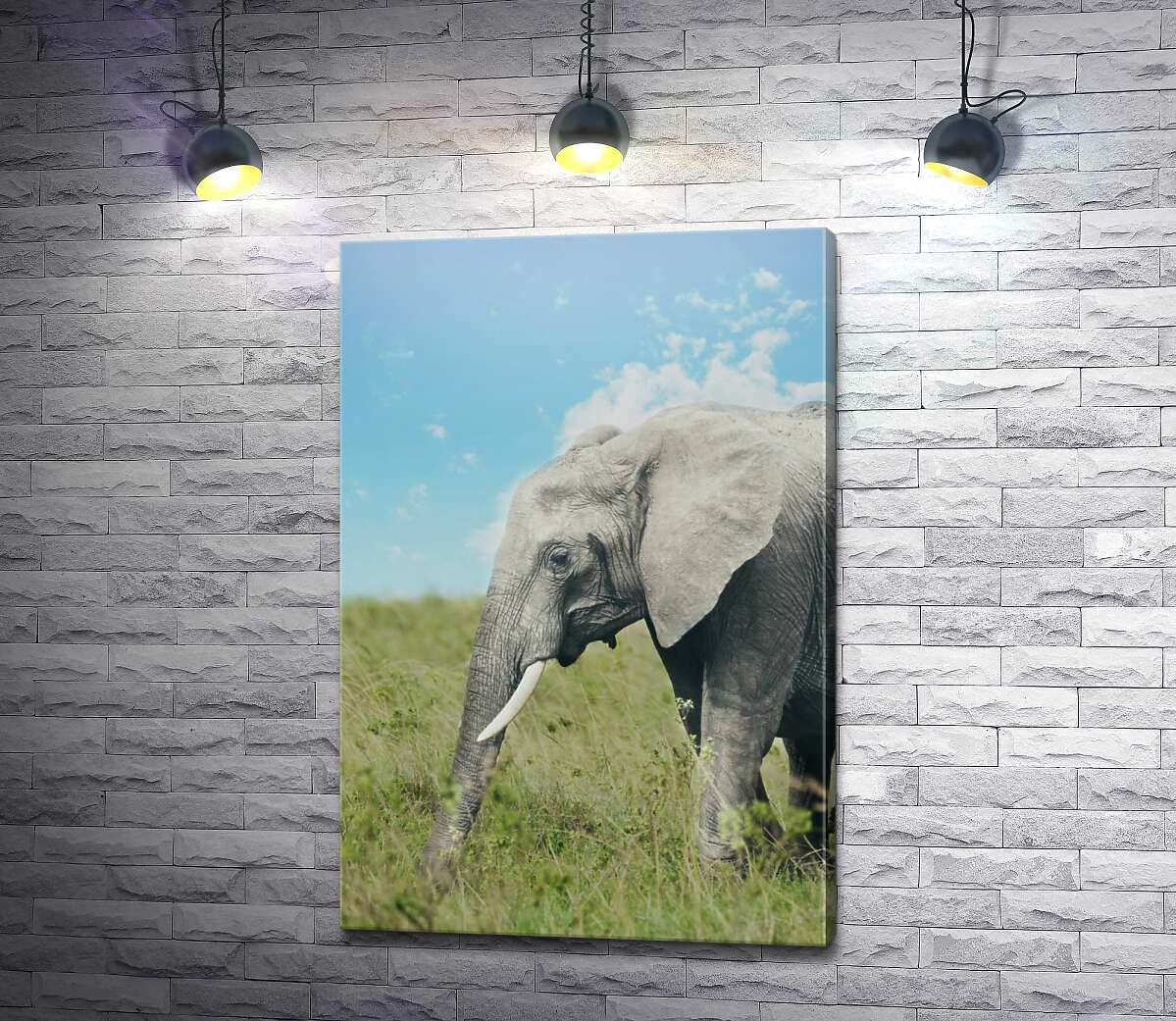 картина Слон на прогулке в зеленом поле