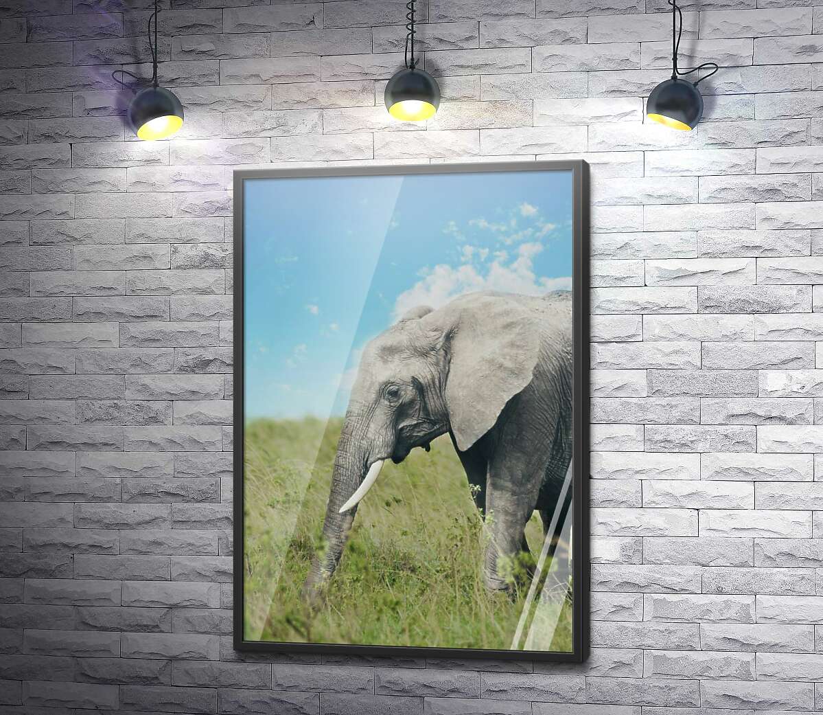постер Слон на прогулке в зеленом поле