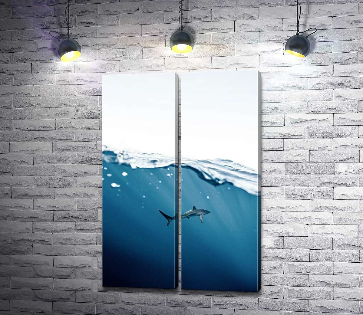 модульна картина Самотня акула в товщі води