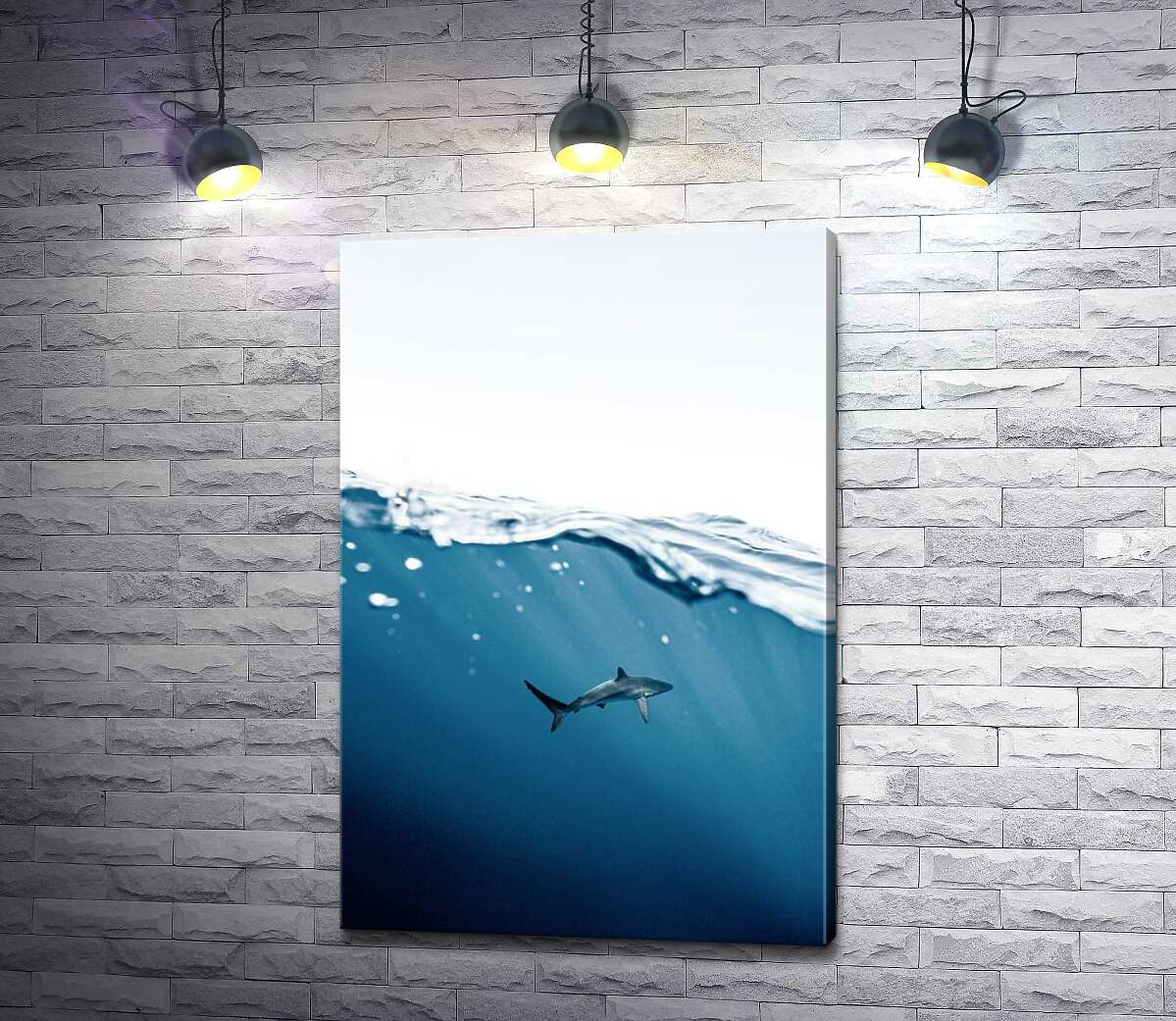 картина Одинокая акула в толще воды