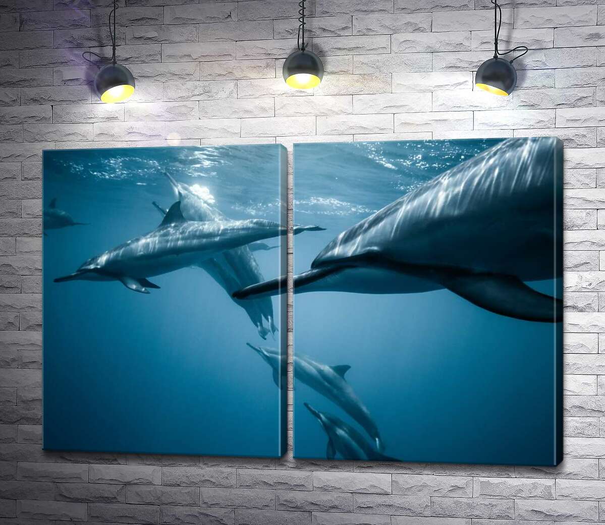 модульная картина Стая дельфинов в голубом океане