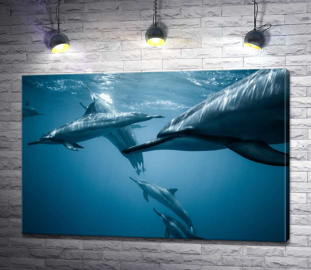 картина Стая дельфинов в голубом океане