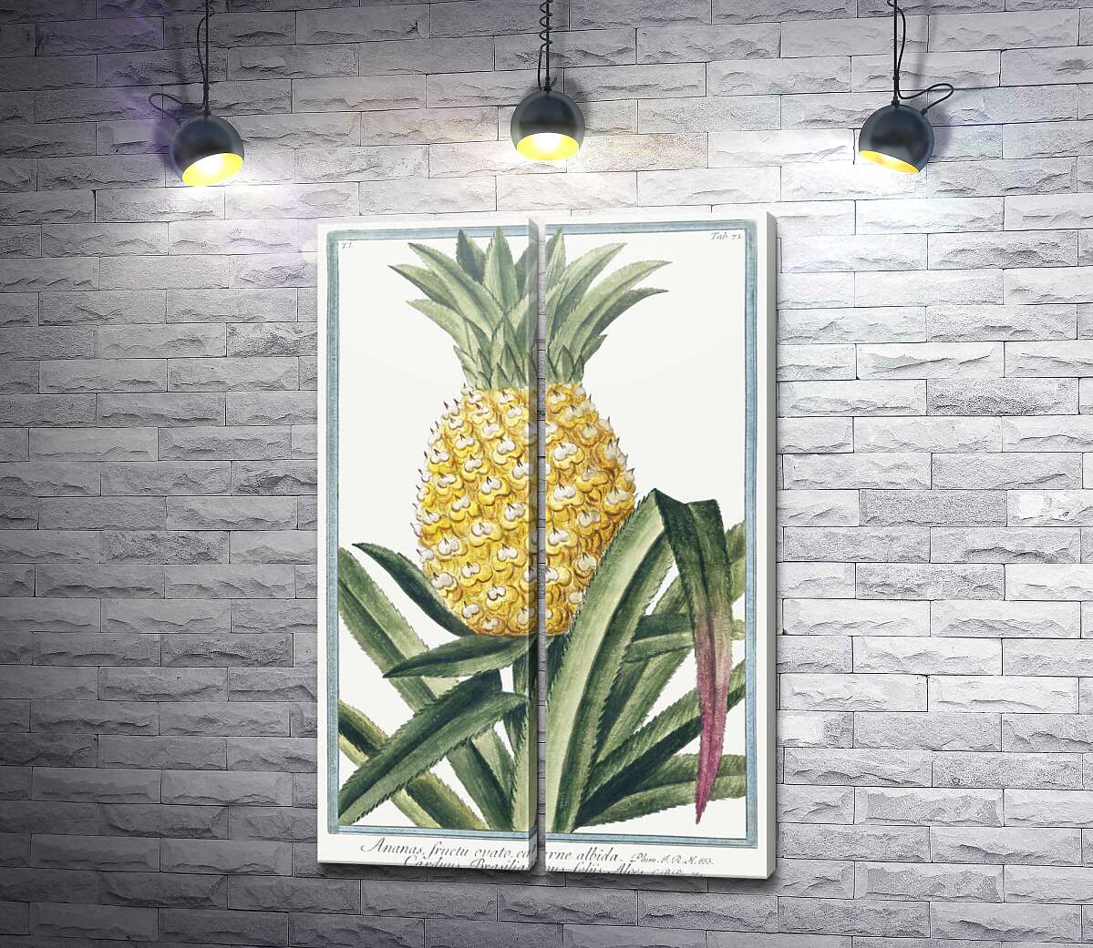 модульная картина Винтажная иллюстрация ананаса