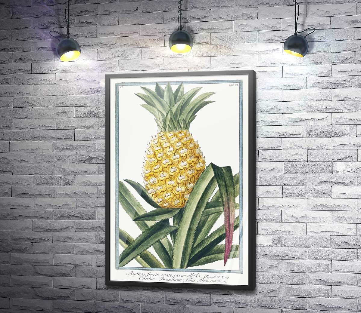 постер Винтажная иллюстрация ананаса