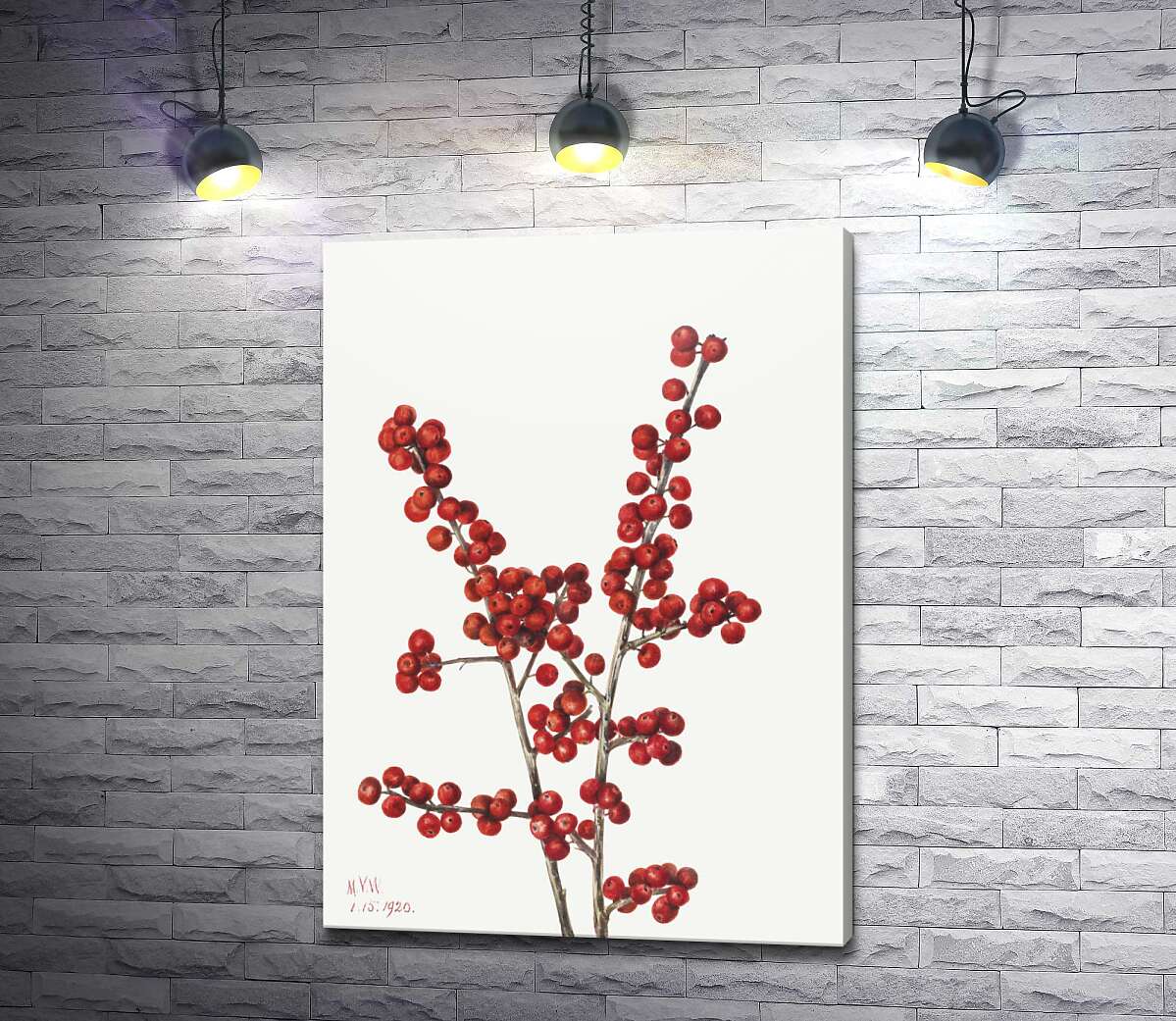 картина Червоні зимові ягоди