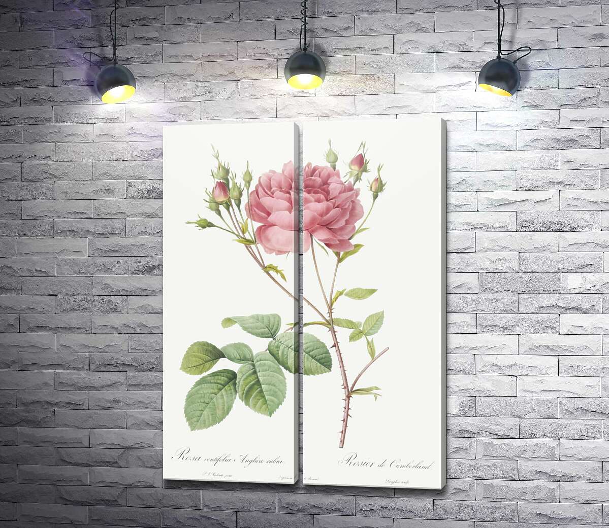 модульная картина Ветка нежной розовой розы