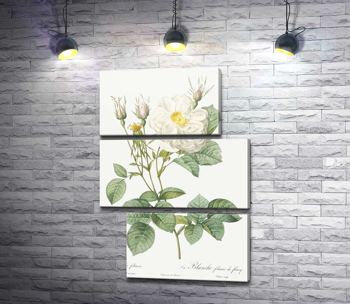 модульная картина Ветка белой благородной розы (Модуль №16)