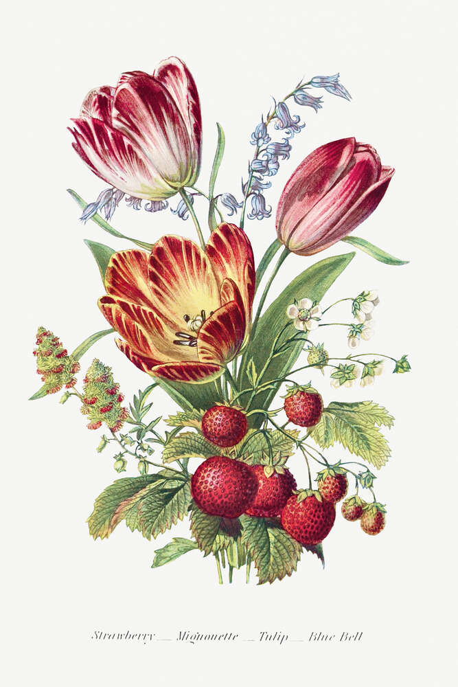 картина-постер Букет з тюльпанів і стиглої полуниці