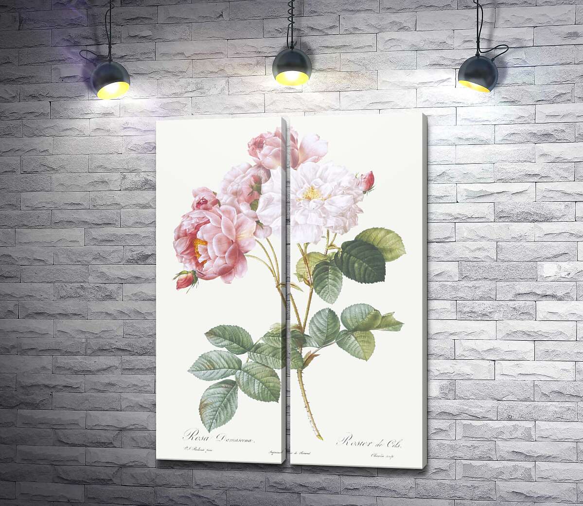 модульная картина Ветка растрепанных розовых и белых роз
