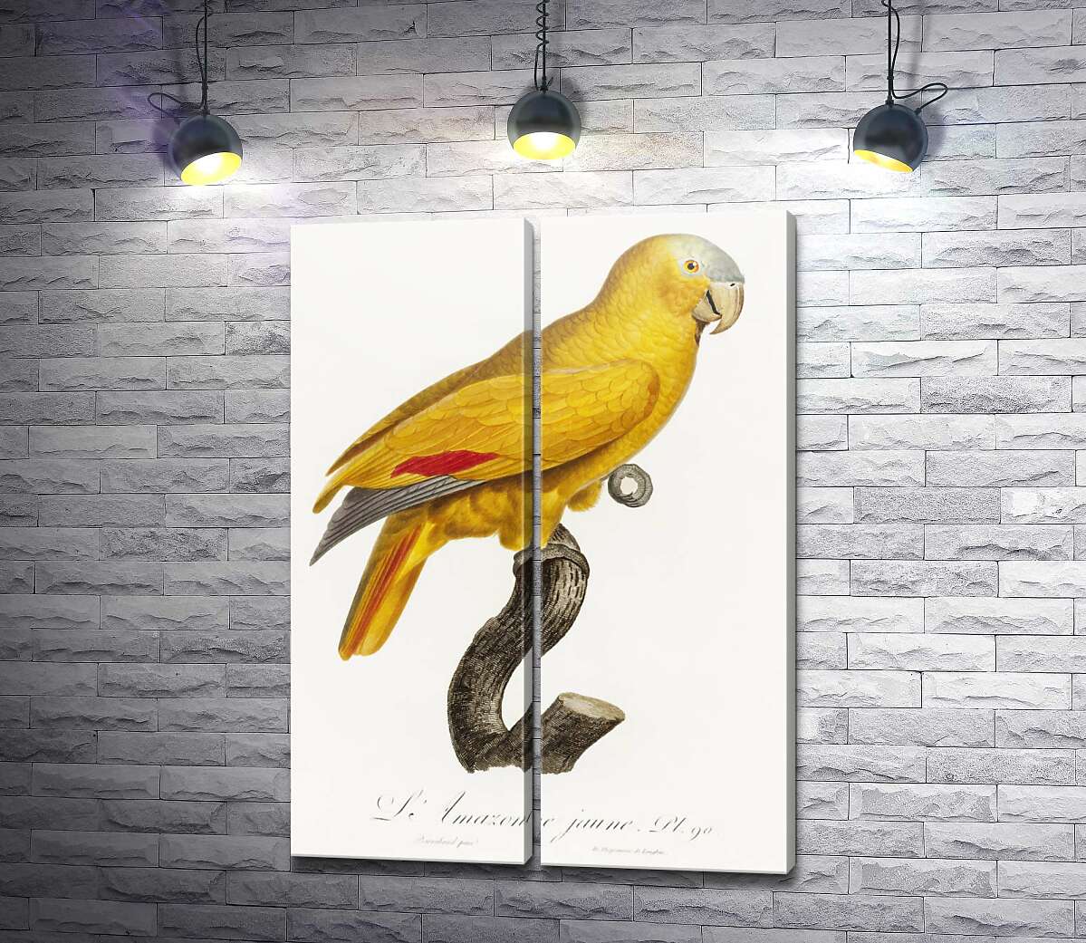 модульная картина Яркий желтый попугай