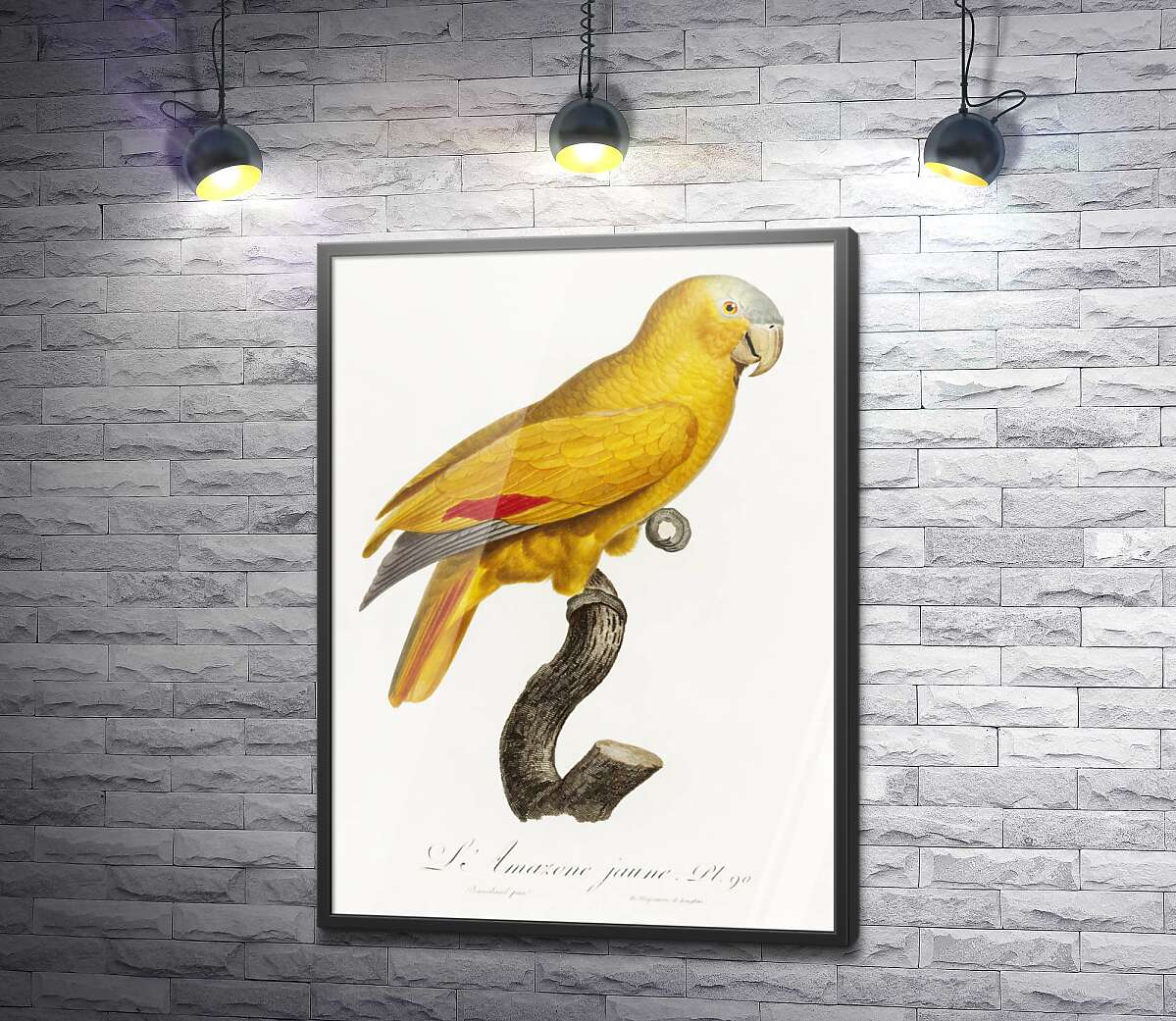 постер Яркий желтый попугай