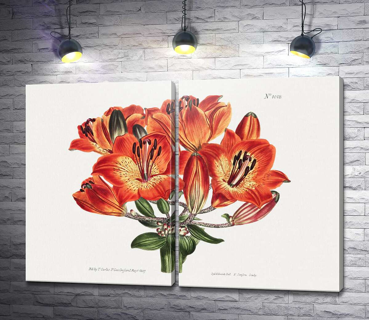 модульная картина Ветка цветущей огненно-рыжей лилии