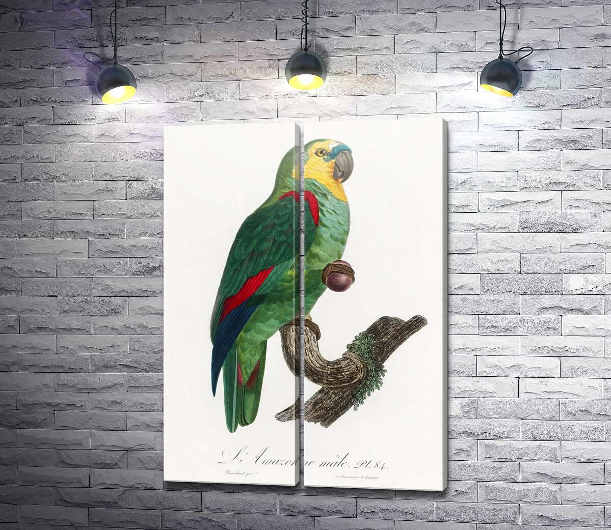 модульна картина Зелений тропічний папуга