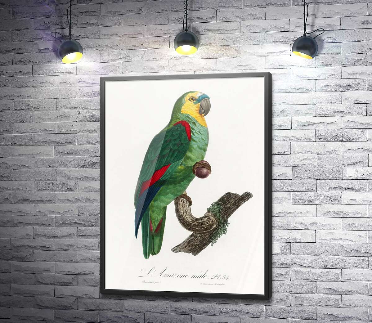 постер Зелений тропічний папуга