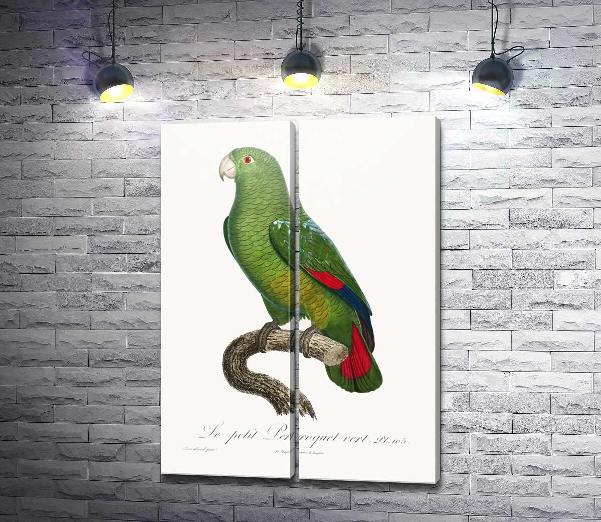 модульная картина Большой зеленый попугай