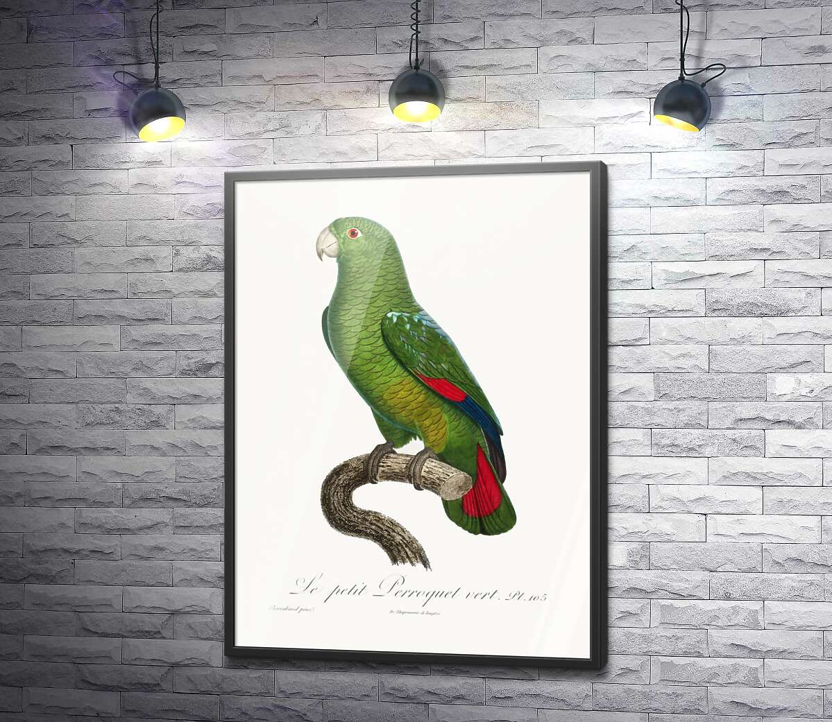 постер Великий зелений папуга