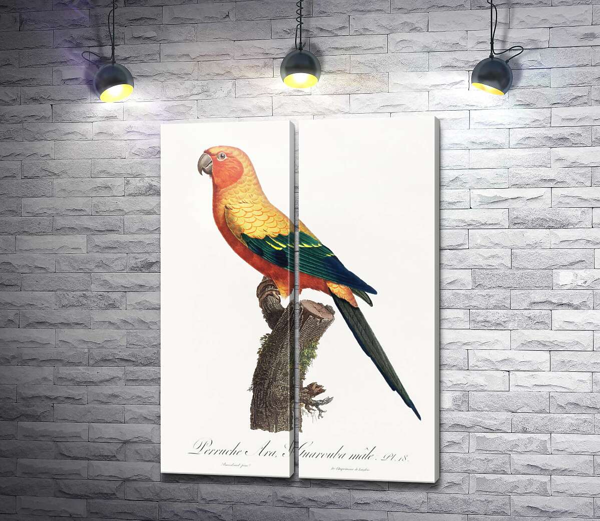 модульная картина Красивый желто-зеленый попугай