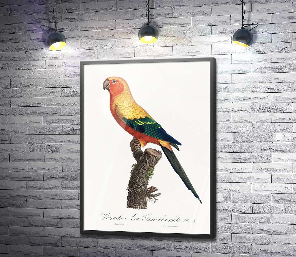 постер Красивый желто-зеленый попугай