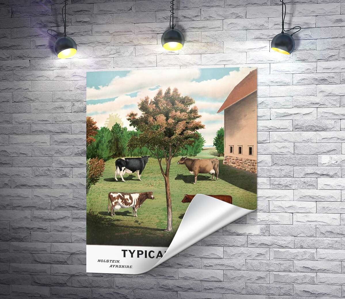 печать Винтажный плакат сельского двора с коровами