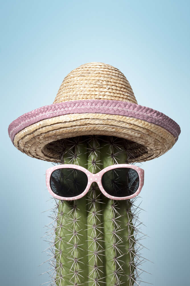 картина-постер Кактус в окулярах і капелюшку