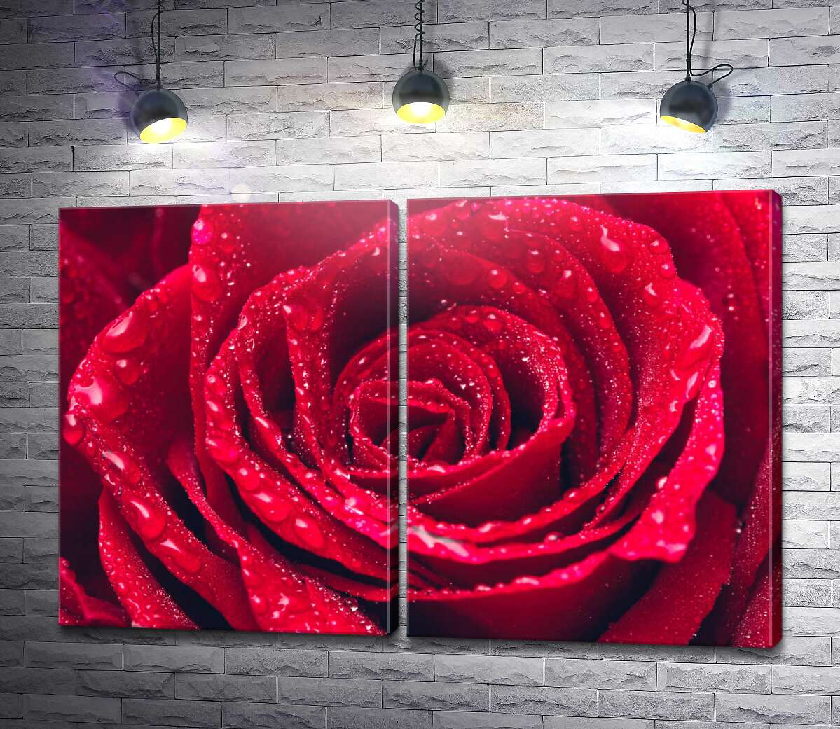 модульная картина Капельки воды на лепестках красной розы