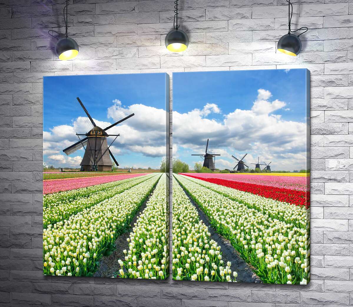 модульная картина Пестрые поля тюльпанов Голландии