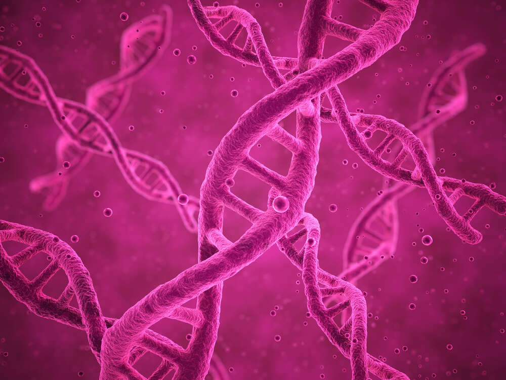 картина-постер Рожеві спіралі молекули ДНК