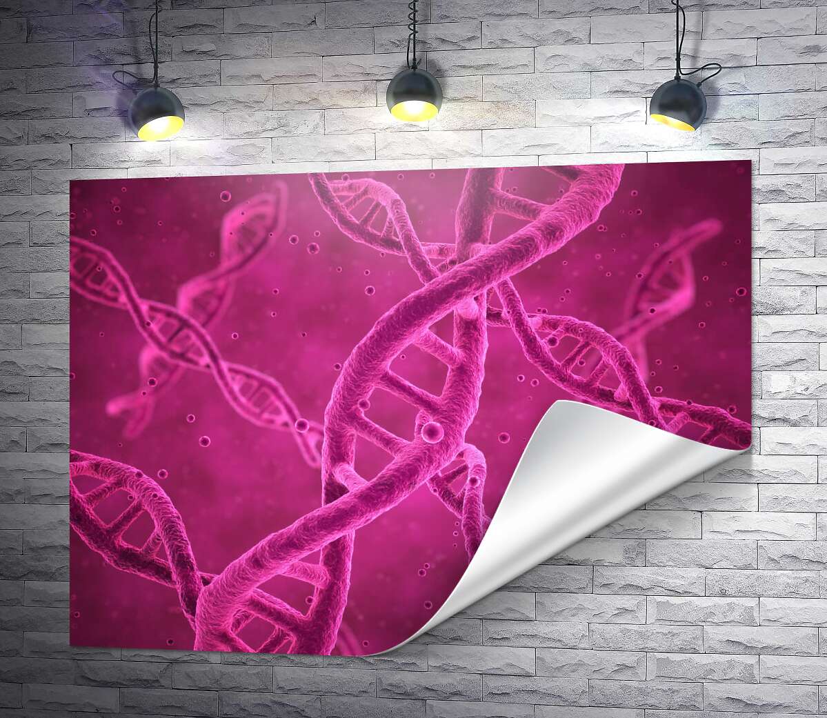 печать Розовые спирали молекулы ДНК