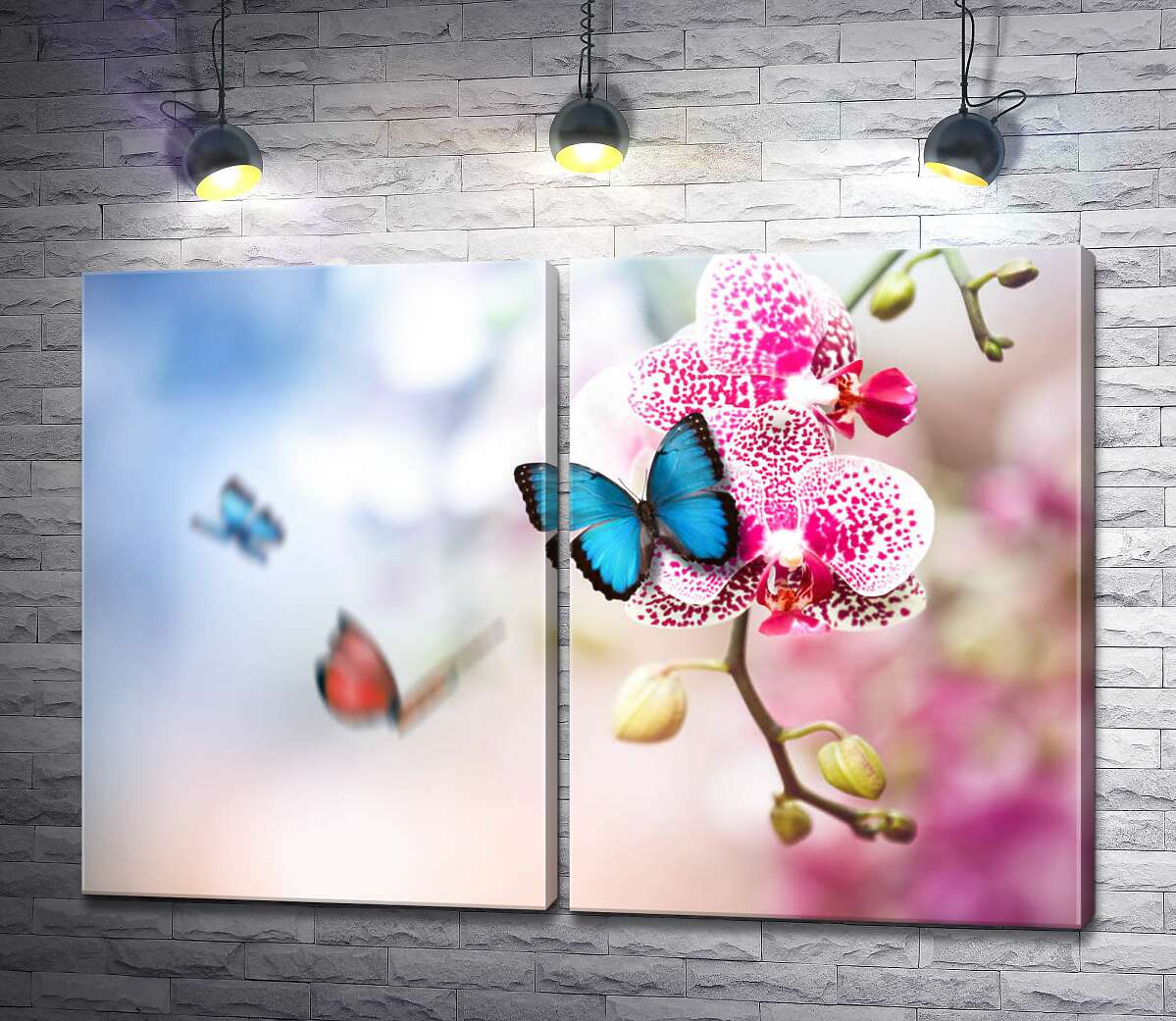 модульна картина Яскравий блакитний метелик на ніжній квітці орхідеї
